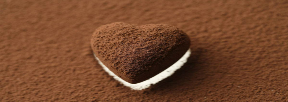 calidad Polvo de cacao alcalizado Servicio