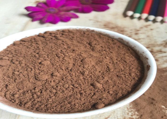Brown oscuro ≥99 alcalizó el polvo de cacao con sabor característico del cacao