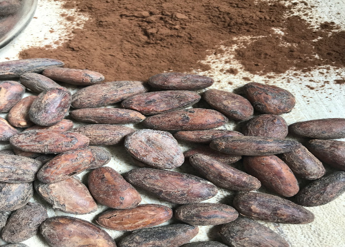 Manteca de cacao única de la categoría alimenticia de la grasa, manteca de cacao orgánica pura para cocinar