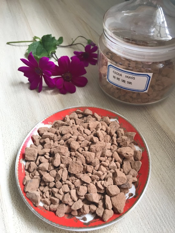 Polvo de cacao crudo puro 100 sano con las bacterias patógenas negativas